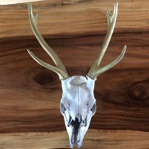 Deer Rack